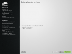 13.1 Inst Actualización en línea.png